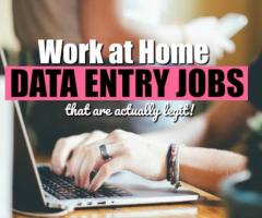 Data entry job