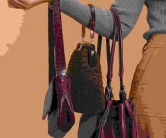 Online Ladies Handbag Haven: Branded Handbag @500/ Orignal with Tag- @Bellatose