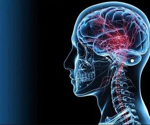 Neurosciences Brain Spine Surgery in Delhi