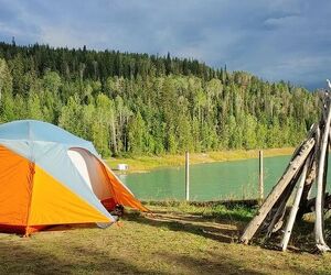 Best Campgrounds in Golden BC | Kinbasket Lake Resort 2026