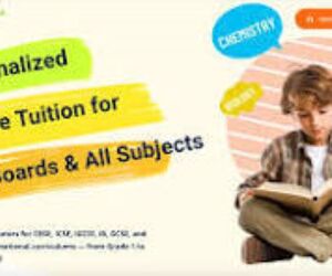 Best Online Tuition in the Middle East | Boost Grades Fast – Almaanara