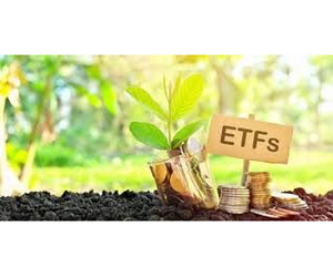 Asset Management Services Ireland