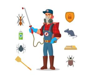 Protect Your Home & Business with Expert Pest Control Dubai Services by Al Falak