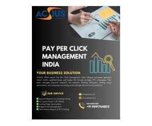 Professional Pay Per Click Management Services India