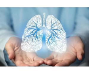Pulmonology Hospital in Gujarat - Image 2