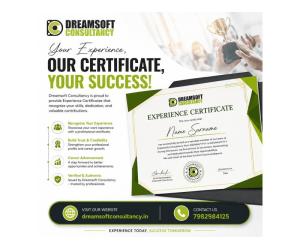 Complete Employment Documentation & Verification Assistance