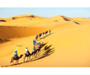 Desert Safari in Jaisalmer for an Unforgettable Desert Adventure