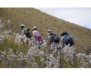 Slackpacking South Africa Walking Experiences | Green Mountain - Image 3