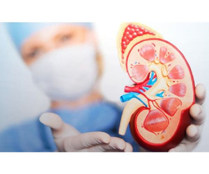 Nephrology Hospital in Gujarat