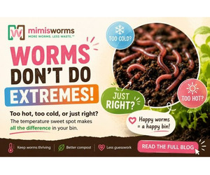 Red Wiggler Temperature Guide: Keep Your Worms Healthy in Every Season