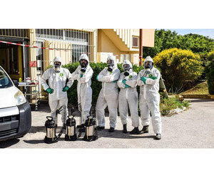 Intervention Rapide pour la Destruction de Nids de Guêpes - Image 2