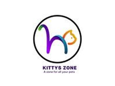 Best Pet grooming and Cat training In Dubai | KittysZone