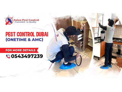 # Professional Pest Removal – Best Service & Prices!