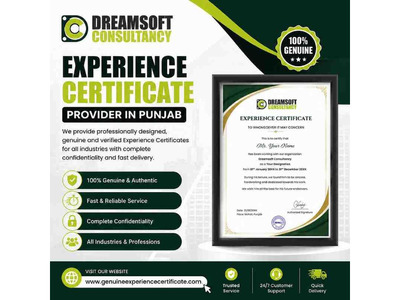 Best Experience Certificate Provider in Punjab