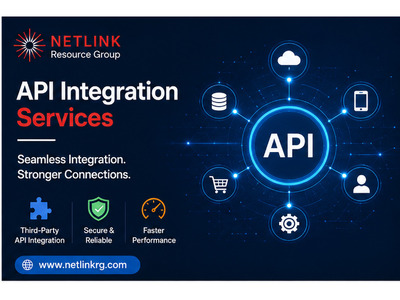 Custom Software Solutions | Netlink Resource Group - Image 2