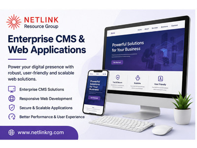 Custom Software Solutions | Netlink Resource Group - Image 3