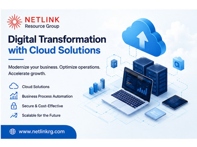 Custom Software Solutions | Netlink Resource Group - Image 4