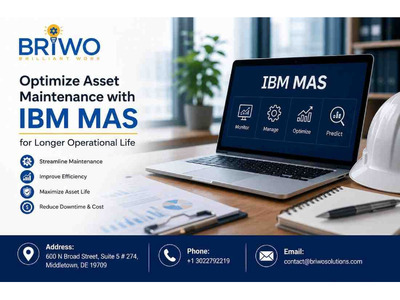 Maximo Support Services