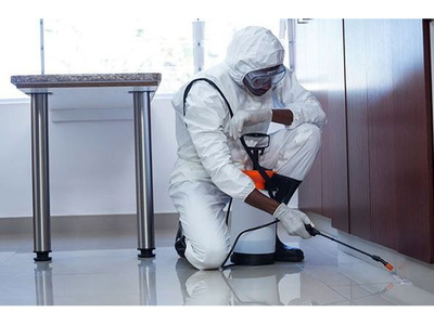 Pest Control Exterminator
