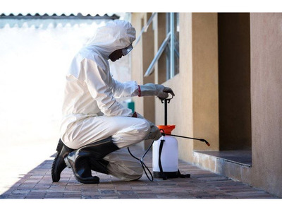 Termite Spray Service