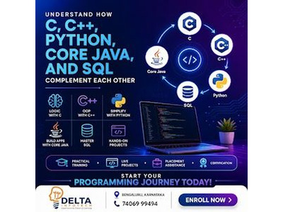 Delta Infotech - Image 2