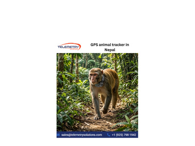 Monkey Tracker in Nepal for Accurate Wildlife Monitoring