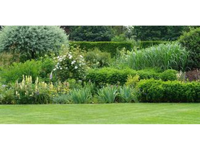 Gardeners Ormond | Garden Maintenance Ormond | Bayside Gardening