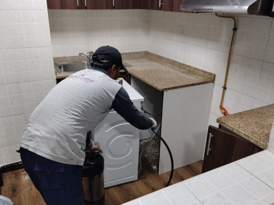 # Pest Control Dubai – Certified & Best Prices - Image 3