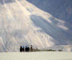 Thrilling Ladakh Package Tour from Mumbai by NatureWings - Image 4