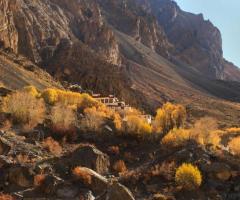 Thrilling Ladakh Package Tour from Mumbai by NatureWings - Image 8