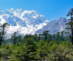 Plan a Wonderful Sikkim Darjeeling Trip with NatureWings Holidays - Best Offers in 2024 - Image 8