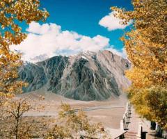 Book Amazing Leh Ladakh Package Tour with NatureWings Holidays - 2024 Best Price - Image 8