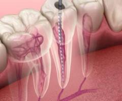 McClane Dentistry - Image 4
