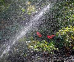 Evergreen Sprinkler and Landscaping Services - Image 5